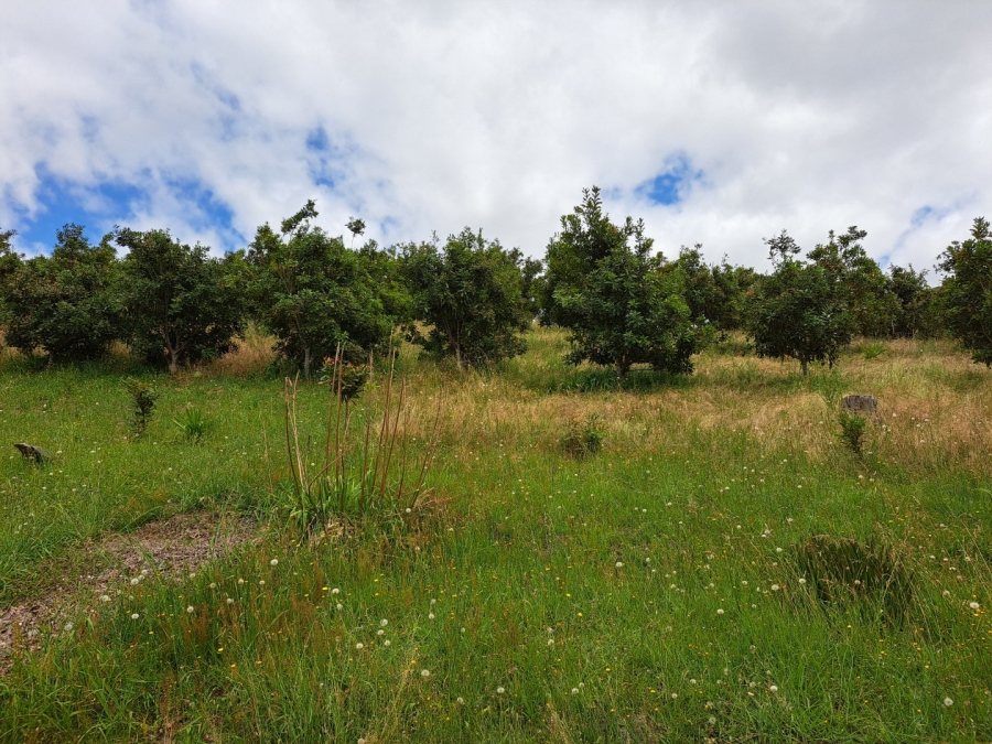 4 Bedroom Property for Sale in Herbertsdale Western Cape